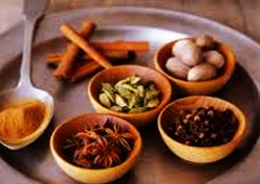 ayurveda centres