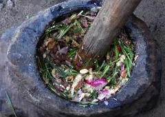 hitory of ayurveda